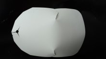 BUST FORMS