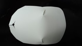 BUST FORMS