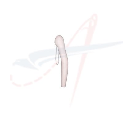 FEMALE ARM - Click Image to Close